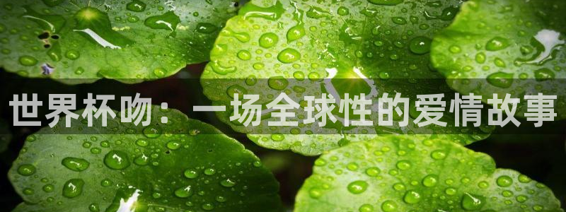 世界杯2026赛制：世界杯吻：一场全球性的爱情故事