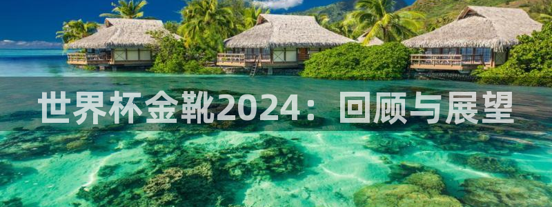 世界杯亚洲区预选赛积分榜：世界杯金靴2024：回顾与展望