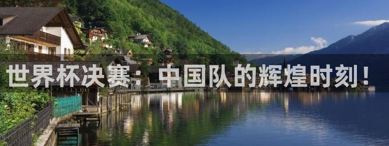 世界杯系列赛：世界杯决赛：中国队的辉煌时刻！