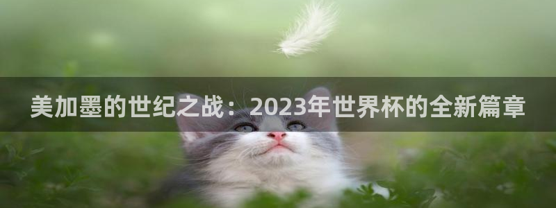世预赛直播：美加墨的世纪之战：2023年世界杯的全新篇章