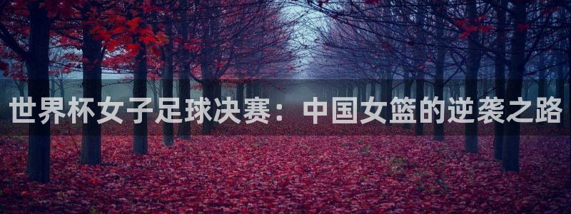 世界杯2026预选赛：世界杯女子足球决赛：中国女篮的逆袭之路