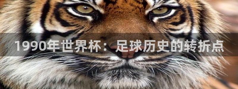 今年世界杯：1990年世界杯：足球历史的转折点