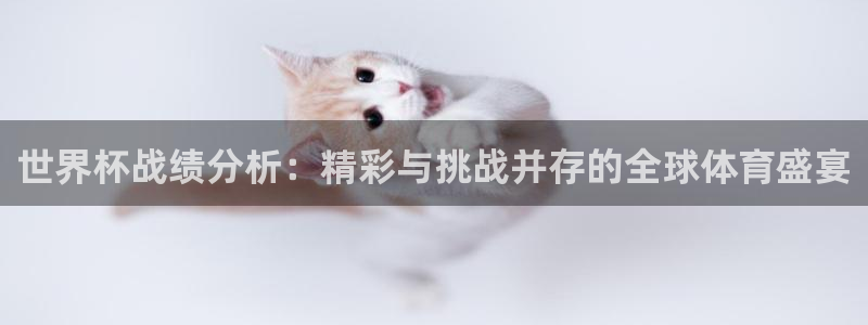 2026世界杯赛程时间表最新：世界杯战绩分析：精彩与挑战并存的全球体育盛宴