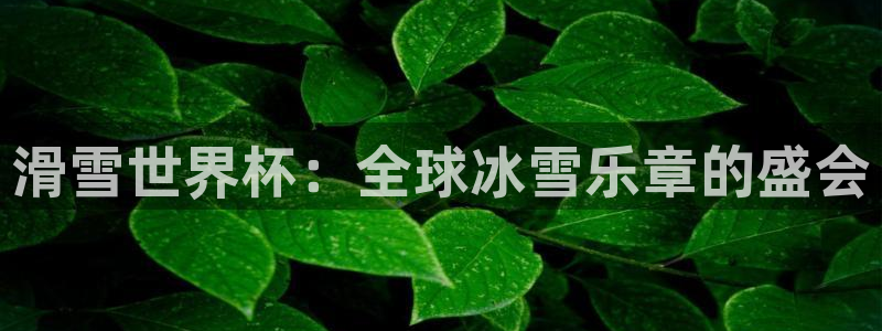 2026世界杯32强对阵图表：滑雪世界杯：全球冰雪乐章的盛会