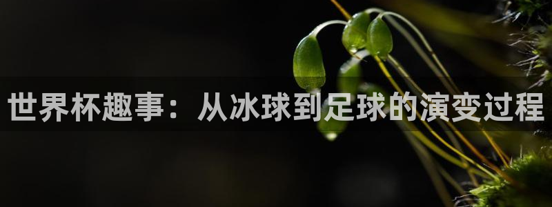 2026足球世界杯：世界杯趣事：从冰球到足球的演变过程