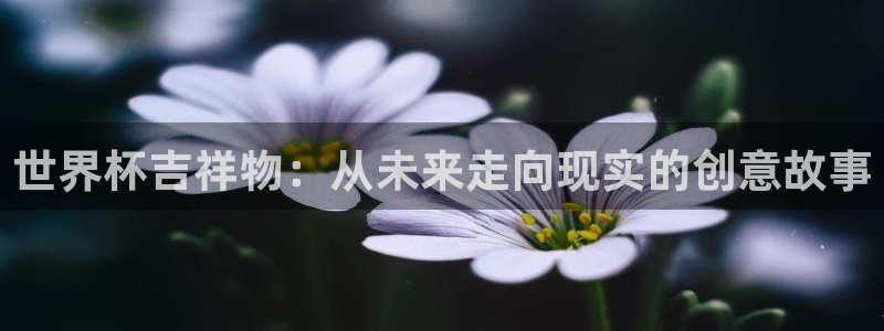 世界杯2026赛制：世界杯吉祥物：从未来走向现实的创意故事