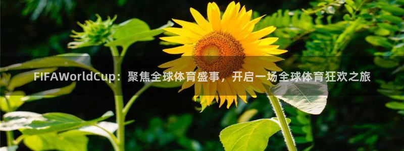 世界杯附加赛赛程表:FIFAWorldCup:聚焦全球体育盛事,开启一场全球体育狂欢之旅