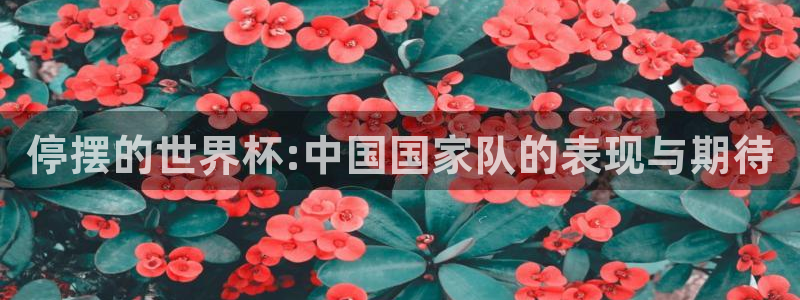 2026足球世界杯赛程时间表：停摆的世界杯:中国国家队的表现与期待