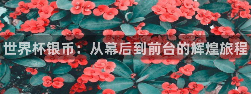 世界杯决赛直播：世界杯银币：从幕后到前台的辉煌旅程